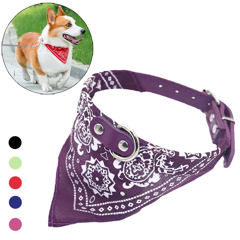 PU Leder Hundehalsband mit Schal Verstellbar Stilvolles Halsband für K –  Kaufschwan®
