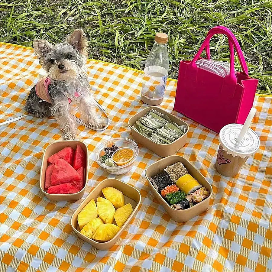 Outdoor Picknickdecke – Faltbare Wasserdichte & Sandfeste Matte | Tragbare Strand-, Wiesen- & Reise Picknickdecke Kaufschwan®