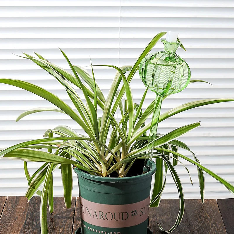 Pflanzenbewässerungs-Kugeln aus Kunststoff Glas – Automatisches Selbstbewässerungssystem | Leichtes Tropfbewässerungsgerät für Haus & Garten