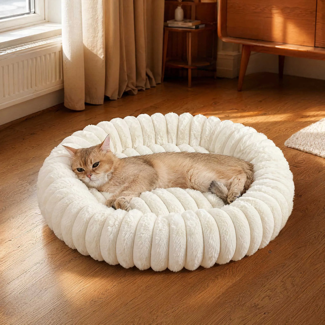 Wohnung katzengerecht einrichten – 10 Tipps für mehr Beschäftigung und Wohlbefinden