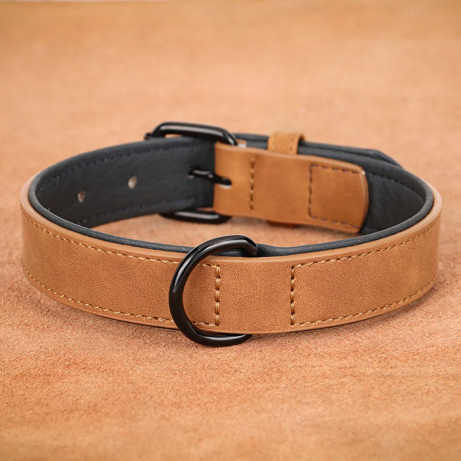 Hundehalsbänder