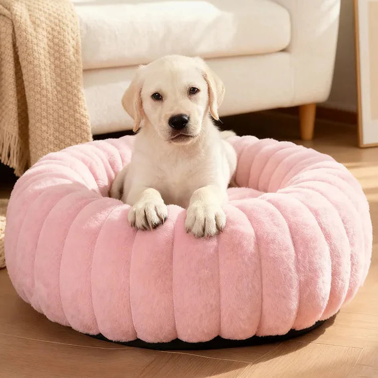 Hundebetten