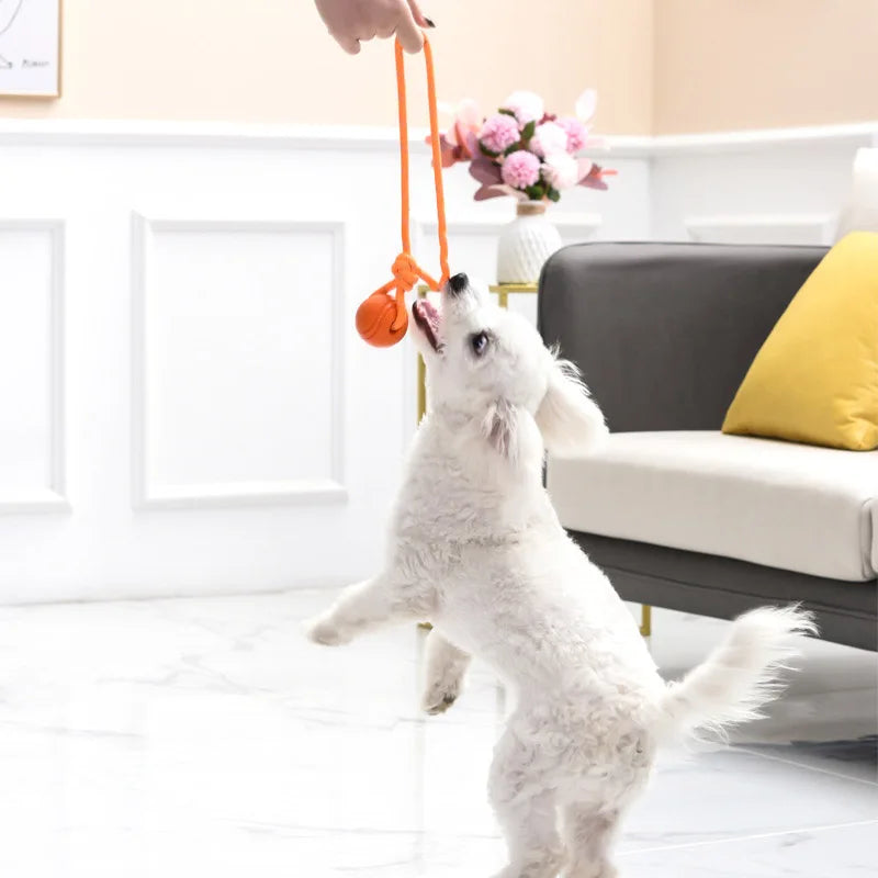 Hund Trainingsball mit Seil – Baumwoll Seilspielzeug zum Ziehen und Werfen Kaufschwan®