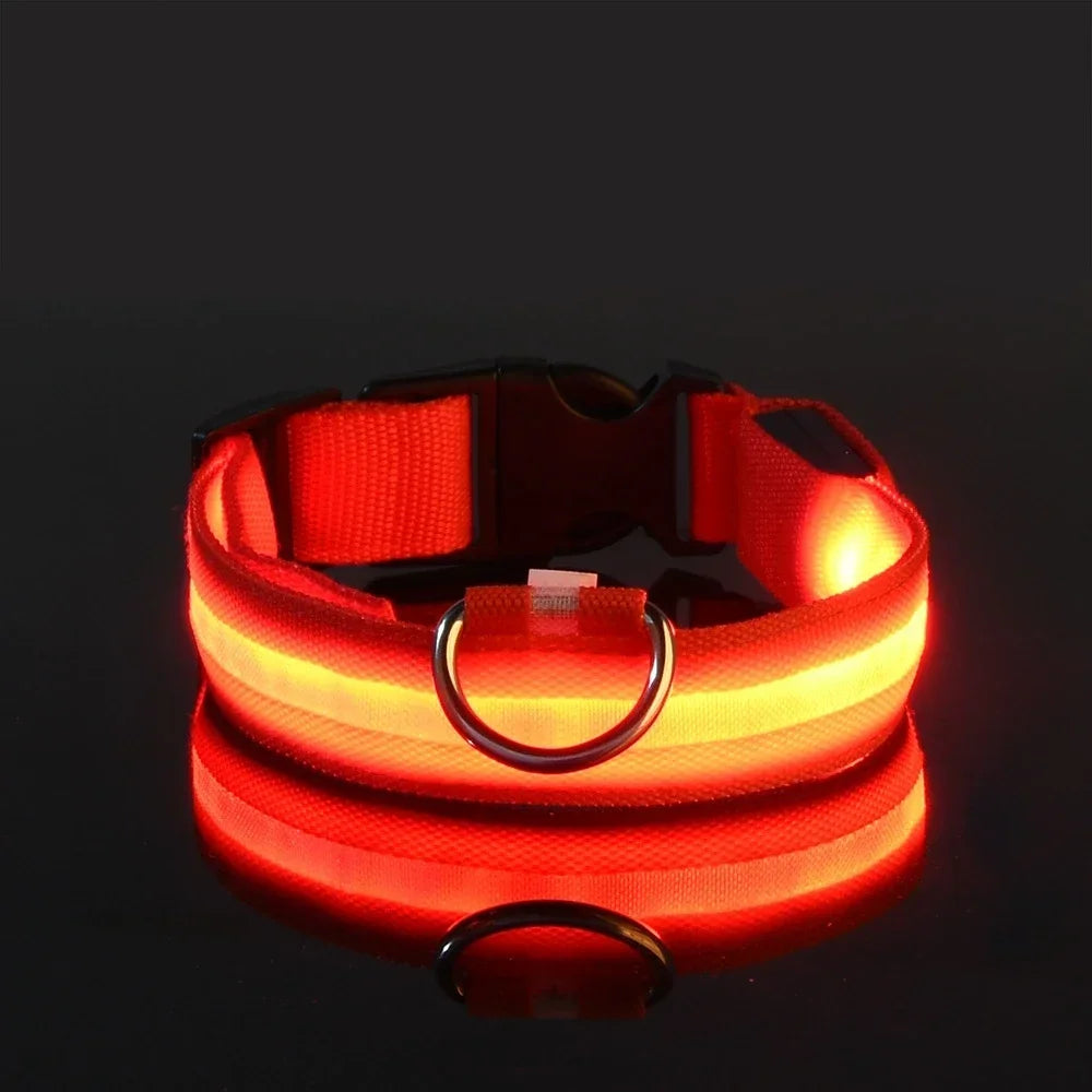 LED Leuchtendes Hundehalsband Nylon Blinkend Nacht Sicherheit Fluoreszierend Verstellbar für Hunde Kaufschwan® Rot XS 28-38cm