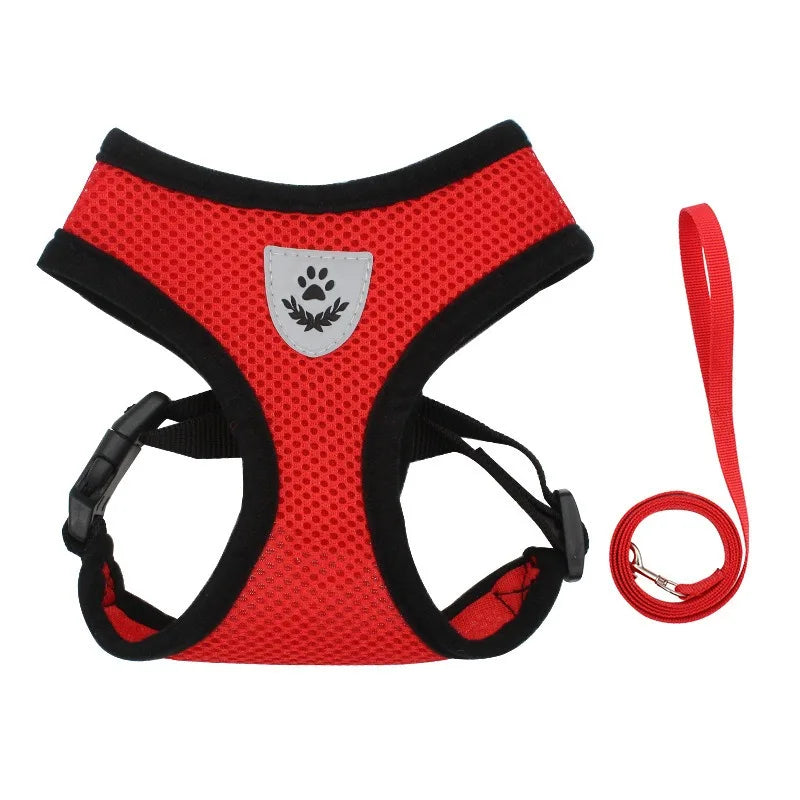 Ausbruchsicheres Katzengeschirr für Katze mit Leine – Verstellbares Westengeschirr mit Halsriemen Kaufschwan® Rot S (1.5-2KG)