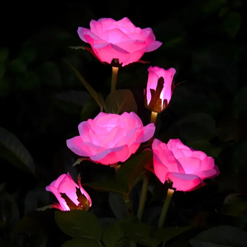 5-Köpfe Solarlichter – Außen Dekorative Rosenblumen Rasenlampe für Hof, Terrasse, Garten & Weihnachtsdekoration Kaufschwan®