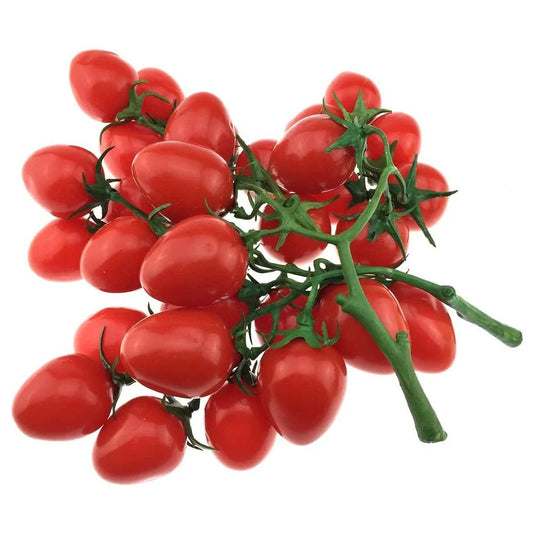 Hochwertige Künstliche Tomate – Realistische Plastik Tomaten Dekoration für Party, Schrank & Küche (19cm) Kaufschwan® Rot