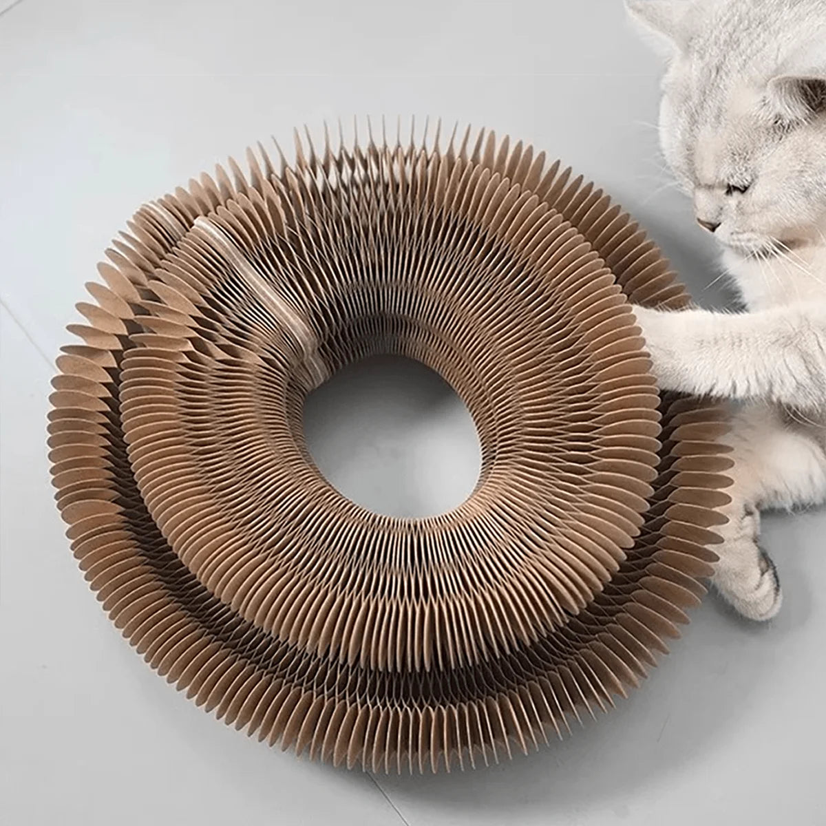 Faltbares Mehrstufiges Kratzbrett für Katze – Papp-Kratzspielzeug mit Glöckchen & Katzenminze für Kätzchen Kaufschwan®