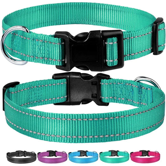Reflektierendes Nylon Hundehalsband mit Leine Verstellbar Sicherheits Set für Kleine Mittelgroße Hunde Kaufschwan®