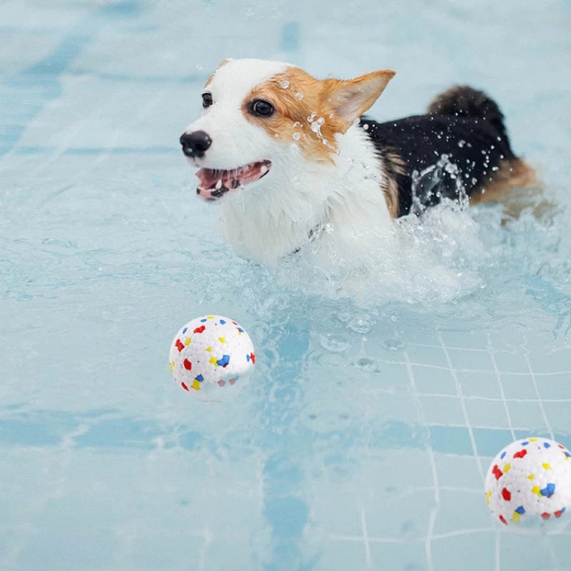 TPU Hundeball – Elastischer Bissfester Spielball ohne Quietschfunktion Kaufschwan®