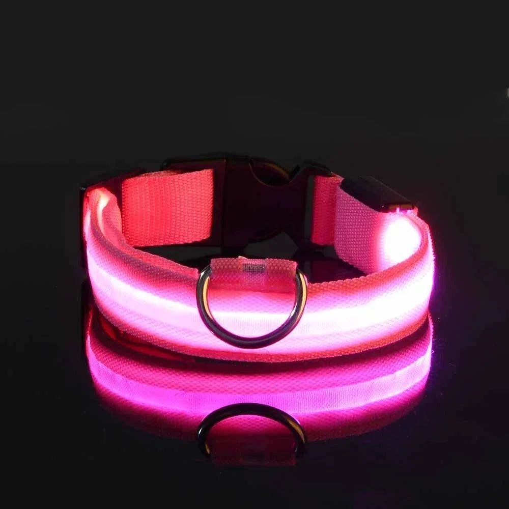 LED Leuchtendes Hundehalsband Nylon Blinkend Nacht Sicherheit Fluoreszierend Verstellbar für Hunde Kaufschwan®