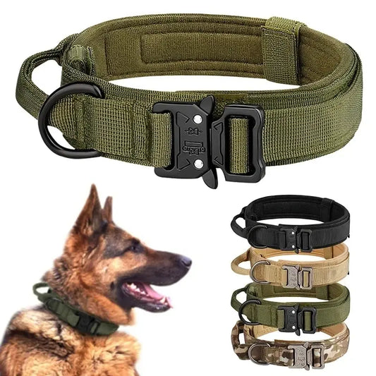 Hundehalsband Strapazierfähig Nylon mit Metall Schnalle Trainingshalsband für Mittel Große Hunde Kaufschwan®