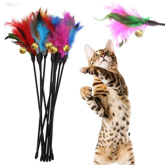 Buntes Feder-Spielstab-Set für Katze – Interaktives Katzenspielzeug mit Hühnerfedern & Glöckchen Kaufschwan®