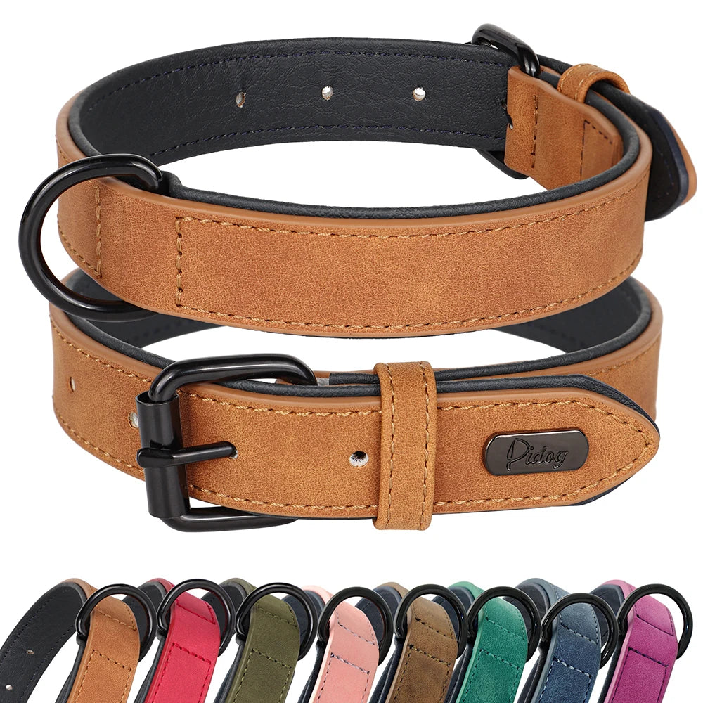 Gepolstertes Echtleder Hundehalsband Strapazierfähig für Große Hunde Kaufschwan®