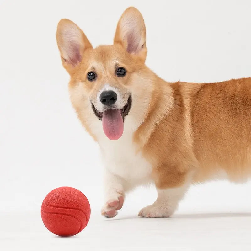 Gummi Hundespielball – Bissfester Vollball für Hunde und Welpen Kaufschwan®