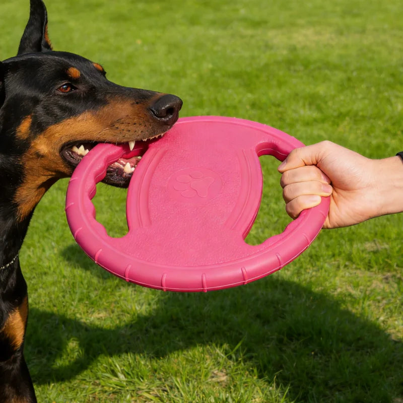 EVA Hunde Frisbee – Robustes Kauspielzeug und Trainingsscheibe für Hunde Kaufschwan®