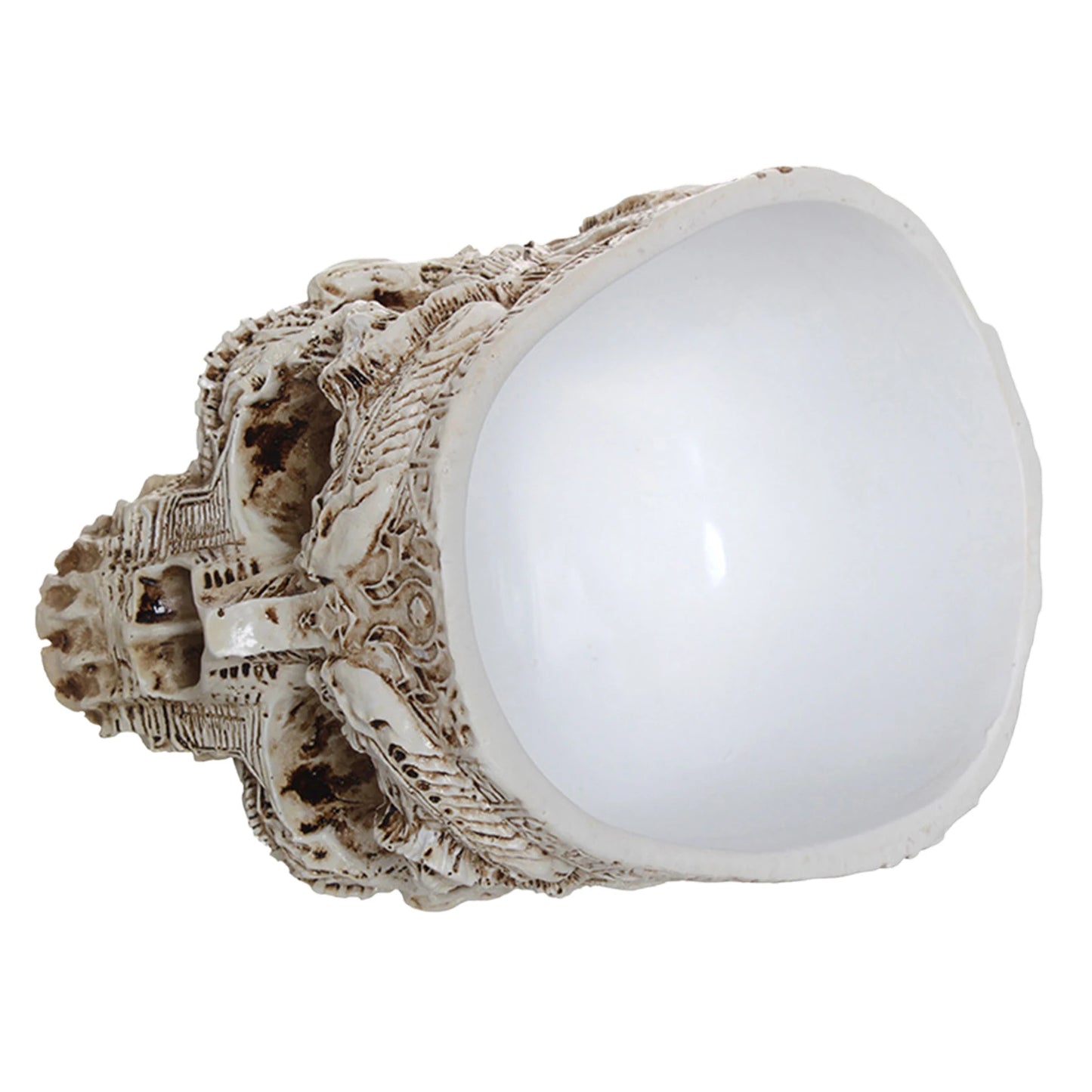 Totenkopf Blumentopf – Multifunktionaler Gothic Skelett Pflanztopf | Halloween Schädel Dekoration für Zuhause Kaufschwan®