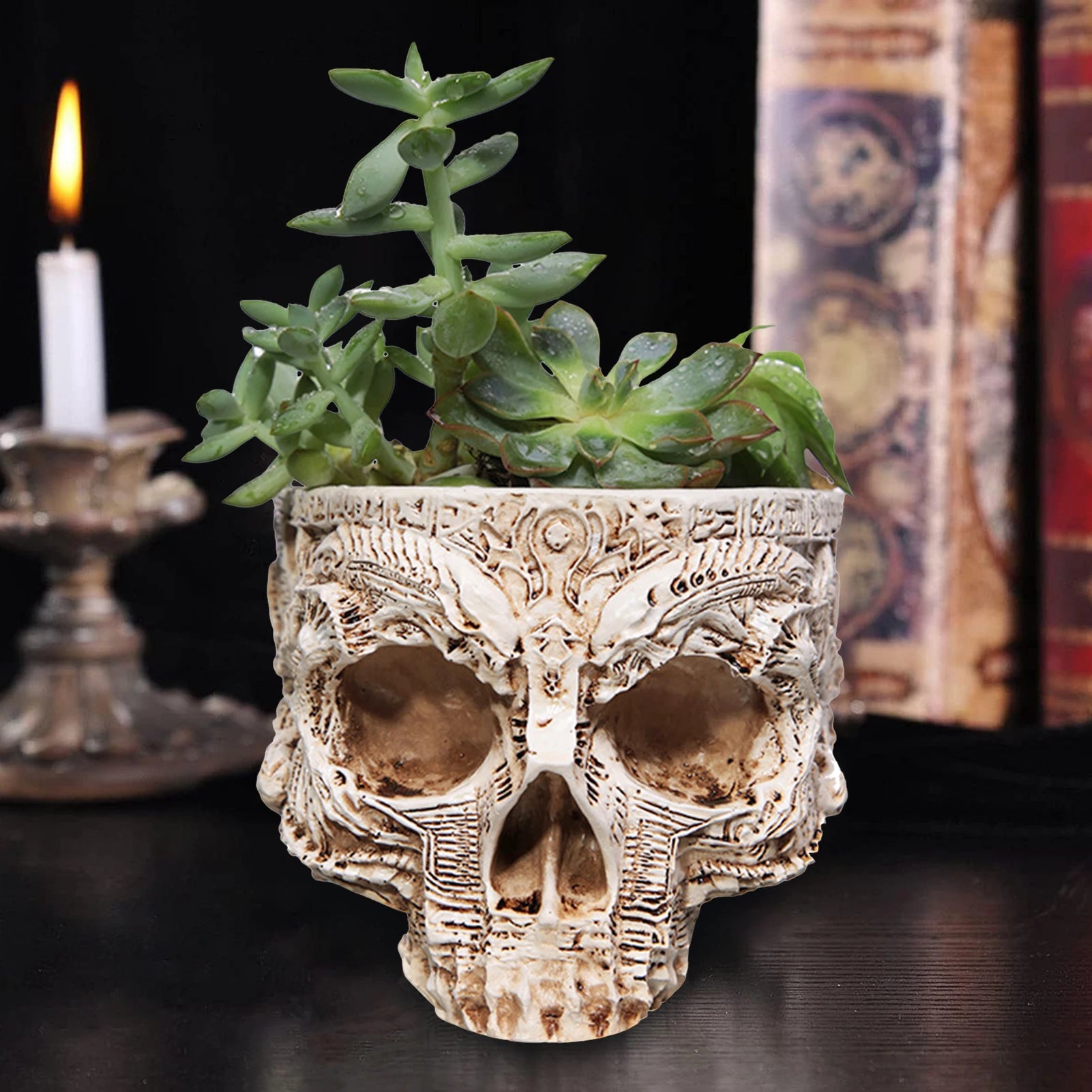 Totenkopf Blumentopf – Multifunktionaler Gothic Skelett Pflanztopf | Halloween Schädel Dekoration für Zuhause Kaufschwan®
