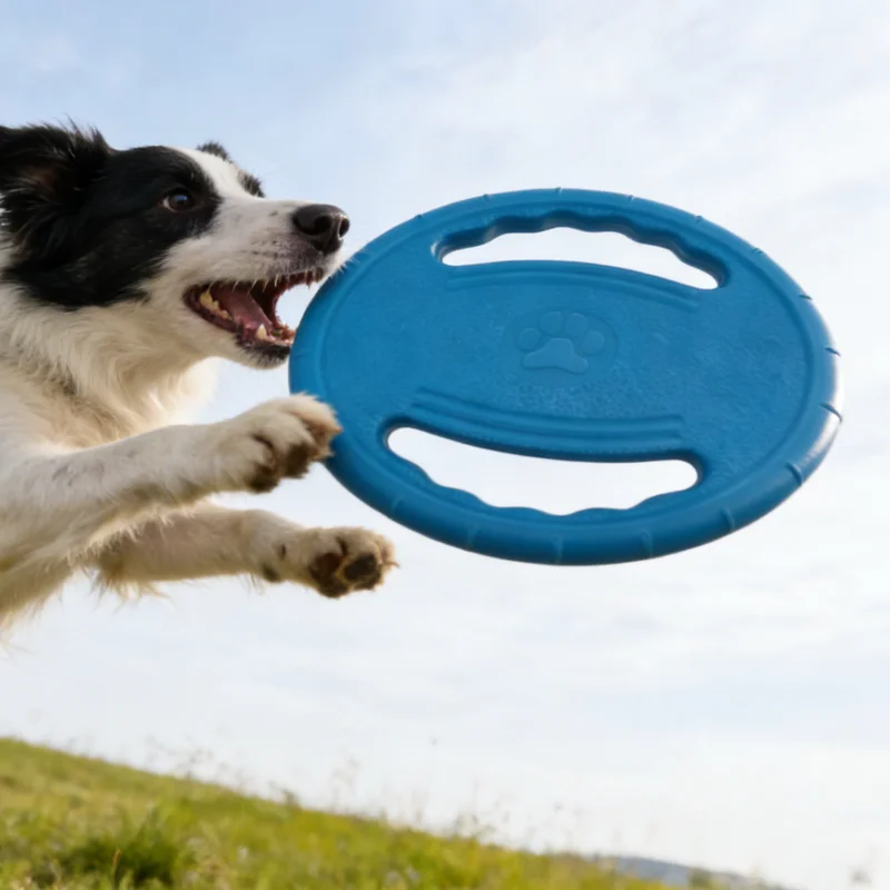 EVA Hunde Frisbee – Robustes Kauspielzeug und Trainingsscheibe für Hunde Kaufschwan®
