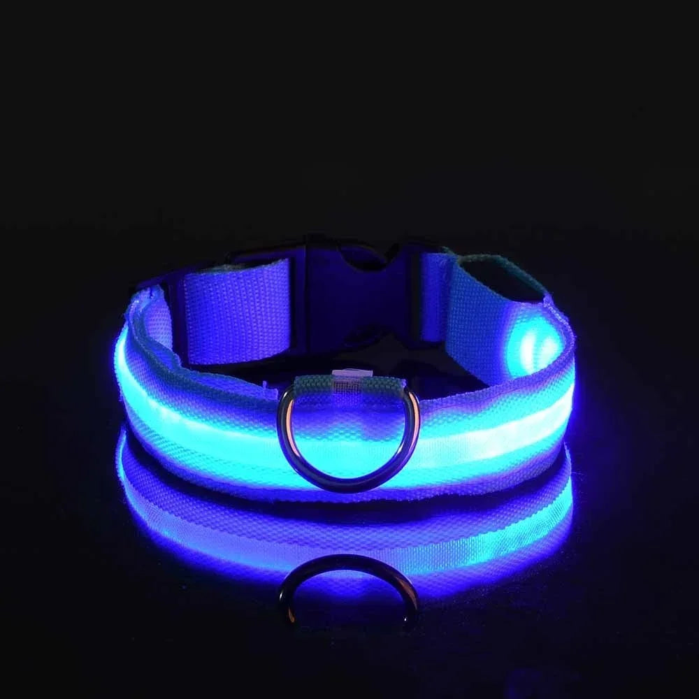 LED Leuchtendes Hundehalsband Nylon Blinkend Nacht Sicherheit Fluoreszierend Verstellbar für Hunde Kaufschwan® Blau XS 28-38cm