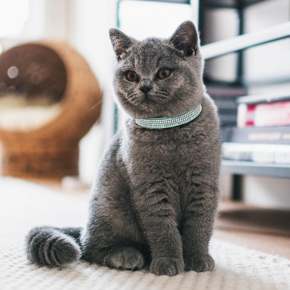 Weiches Rosa Wildleder-Katzenhalsband für Katze – Strasssteine, Glöckchen, Sicherheitsverschluss & Verstellbare Passform Kaufschwan®