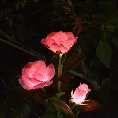 LED Solar Nelken- & Rosenblumen-Feenlichterkette – Wasserdichte Gartenlichter für Hof, Rasen, Wege & Muttertagsgeschenk Kaufschwan® Rose 3 Köpfe Rosa