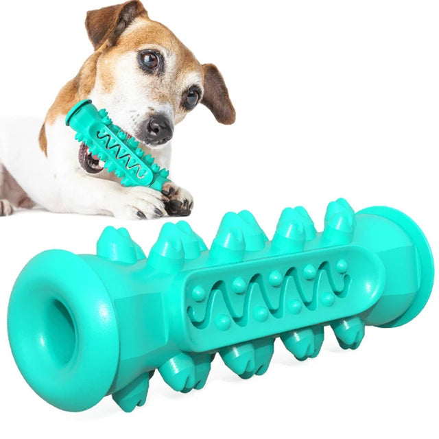 Hunde Kau Stick – TPR Zahnreinigungs Spielzeug für Welpen und Hunde Kaufschwan® Blau 2