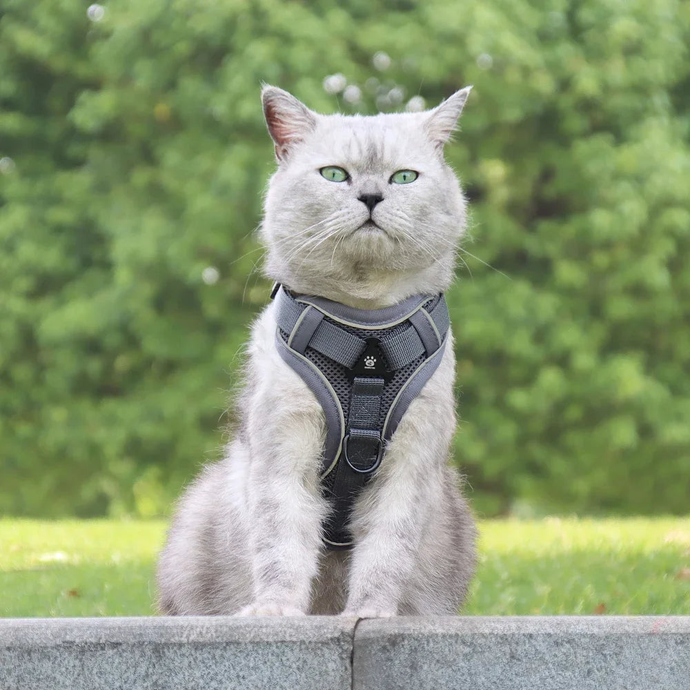 Ausbruchsicheres Reflektierendes Katzengeschirr für Katze mit Leine – Atmungsaktive Weste mit Verstellbarem Brustgurt Kaufschwan®