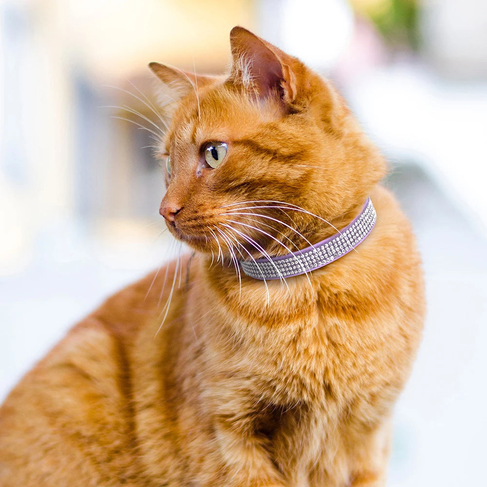 Weiches Rosa Wildleder-Katzenhalsband für Katze – Strasssteine, Glöckchen, Sicherheitsverschluss & Verstellbare Passform Kaufschwan®