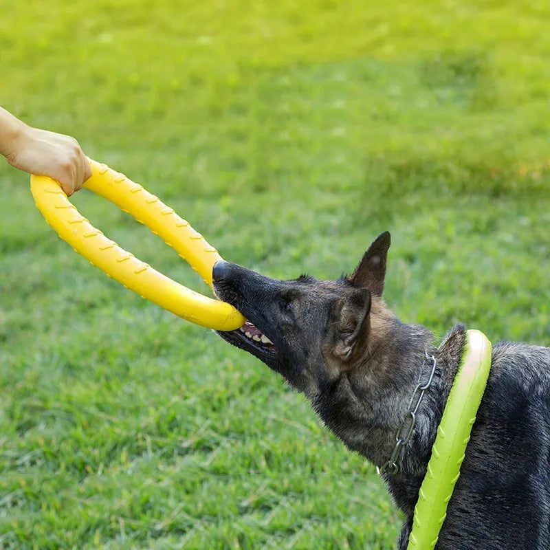 EVA Hund Trainingsring – Schwimmender Wurf- und Ziehring für Hunde Kaufschwan®
