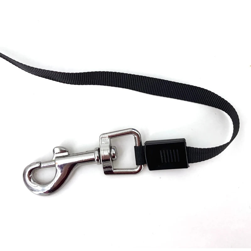 3M 5M Ausziehbare Hundeleine Automatische Flexible Nylon Rollleine für Kleine Mittelgroße Hunde Kaufschwan®