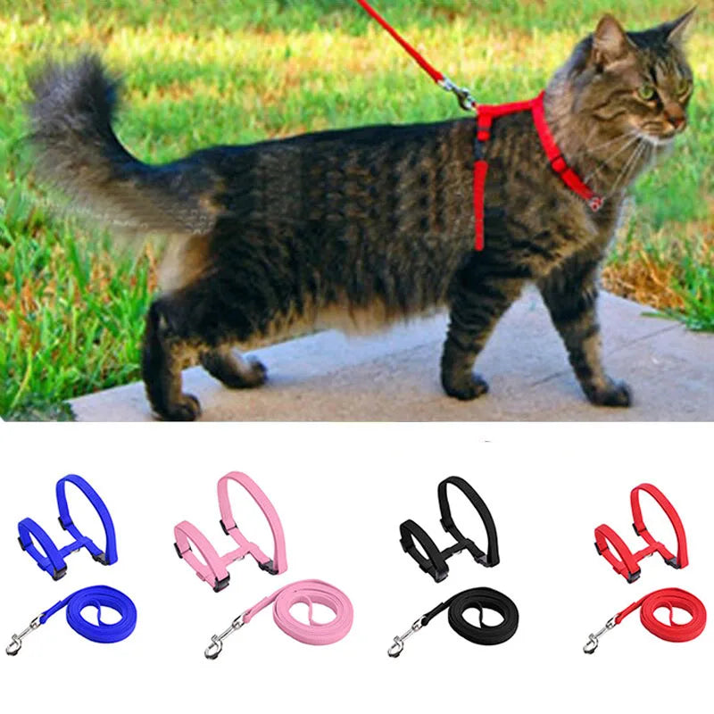 Verstellbares Nylon-Katzengeschirr für Katze mit Leine – Gemütliches Geschirr mit Halsriemen Kaufschwan®