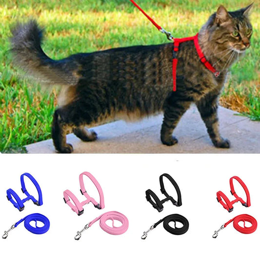Verstellbares Nylon-Katzengeschirr für Katze mit Leine – Gemütliches Geschirr mit Halsriemen Kaufschwan®