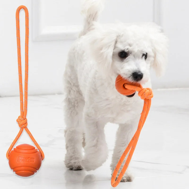 Hund Trainingsball mit Seil – Baumwoll Seilspielzeug zum Ziehen und Werfen Kaufschwan®