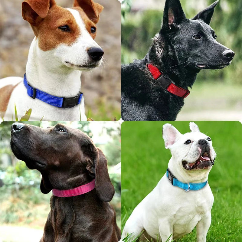 Reflektierendes Verstellbares Hundehalsband Gepolstert Nylon Neopren für Mittel Große Hunde Kaufschwan®
