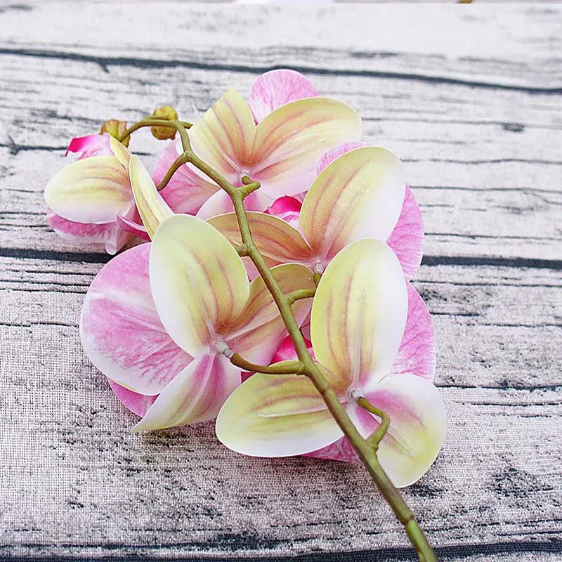 3D Künstliche Schmetterlings-Orchideen – Kunststoffblumen für Zuhause, Vase, Hochzeit, Garten & Partydekoration | DIY Girlanden & Geschenkboxen Kaufschwan®