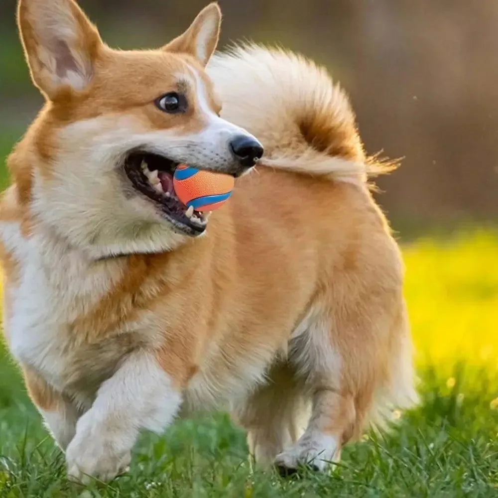 Elastischer Hundespielball – Robuster Springender Kauspielball Kaufschwan®