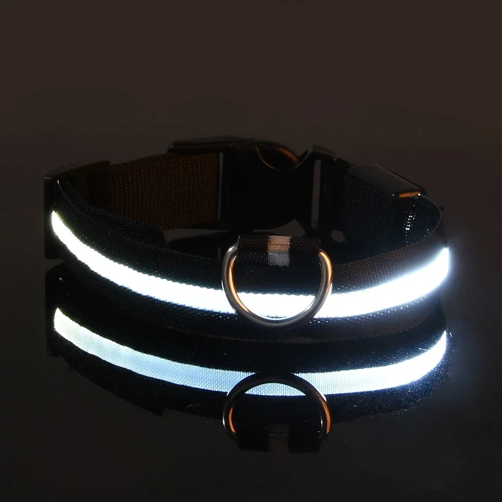 LED Leuchtendes Hundehalsband Nylon Blinkend Nacht Sicherheit Fluoreszierend Verstellbar für Hunde Kaufschwan® Schwarz XS 28-38cm