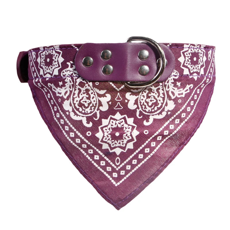 PU Leder Hundehalsband mit Schal Verstellbar Stilvolles Halsband für Kleine Mittelgroße Hunde Welpen Kaufschwan®