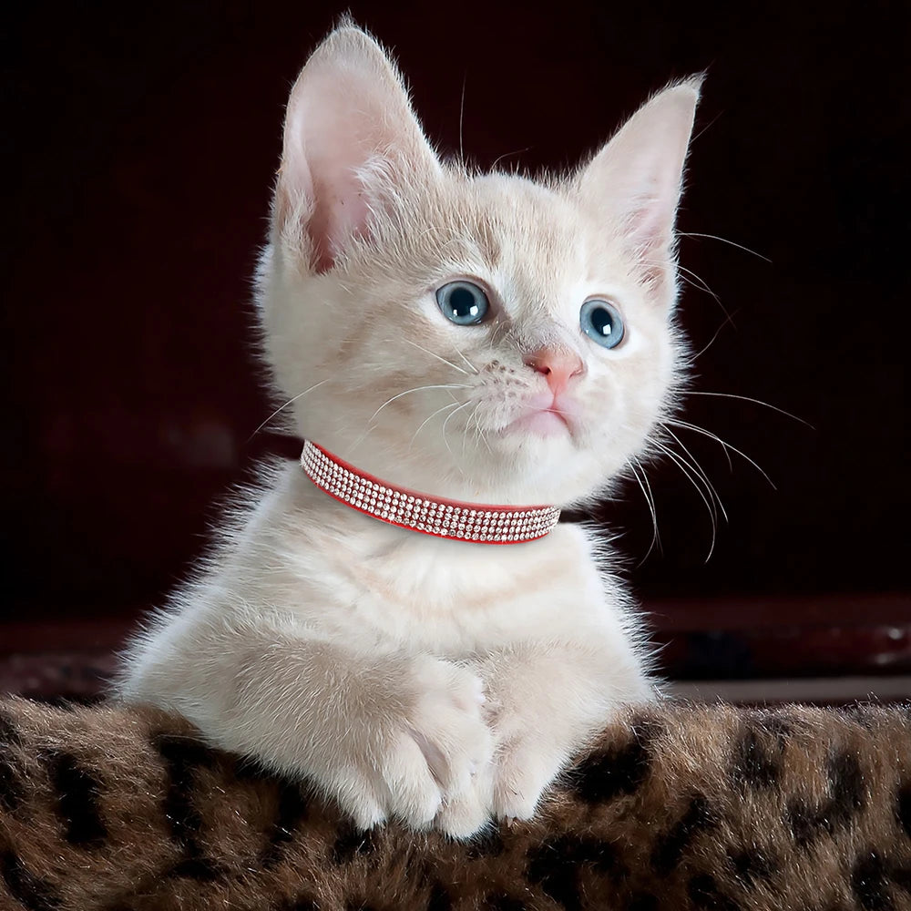 Weiches Rosa Wildleder-Katzenhalsband für Katze – Strasssteine, Glöckchen, Sicherheitsverschluss & Verstellbare Passform Kaufschwan®