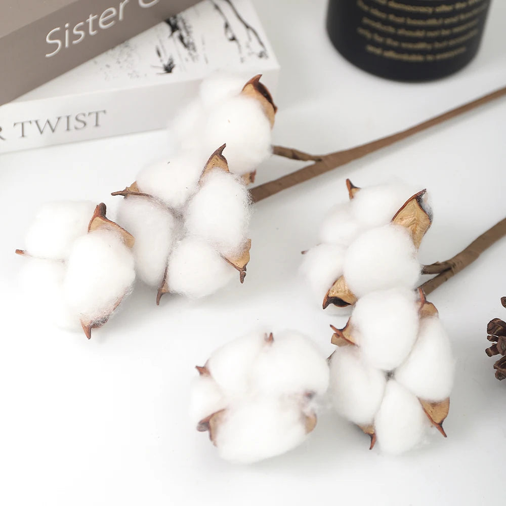 10 Stück Bunte Künstliche Blumen (Baumwollkopf) & Natürliche Trockenblumen – Dekoration für Zuhause, Geburtstag & Weihnachten | DIY Kranz & Girlanden Set Kaufschwan®