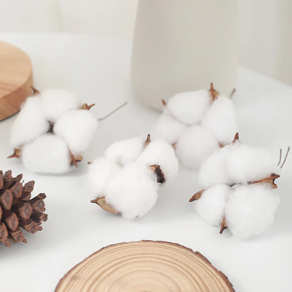 10 Stück Bunte Künstliche Blumen (Baumwollkopf) & Natürliche Trockenblumen – Dekoration für Zuhause, Geburtstag & Weihnachten | DIY Kranz & Girlanden Set Kaufschwan®