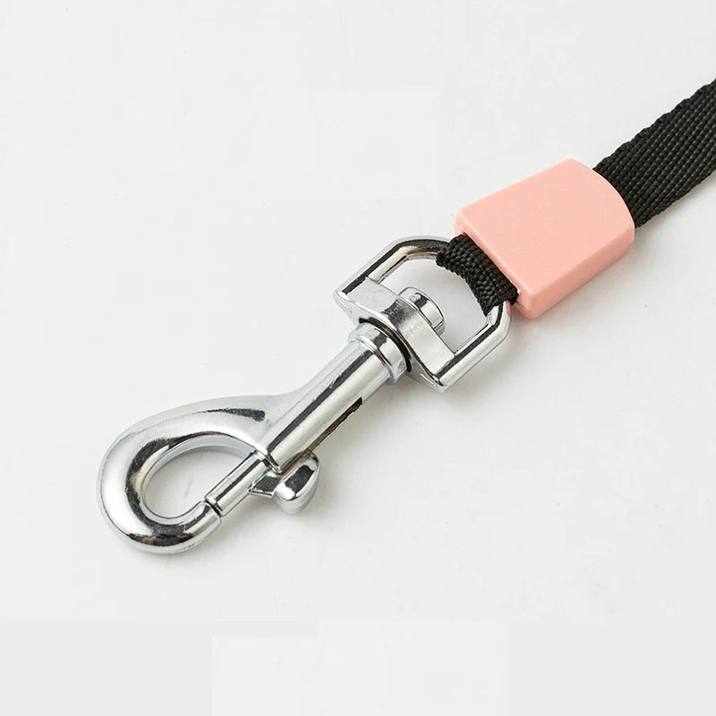 5M Ausziehbare Hundeleine Automatische Flexible Nylon Rollleine für Kleine Mittel Große Hunde Kaufschwan®