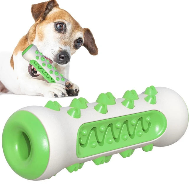 Hunde Kau Stick – TPR Zahnreinigungs Spielzeug für Welpen und Hunde Kaufschwan® Grün