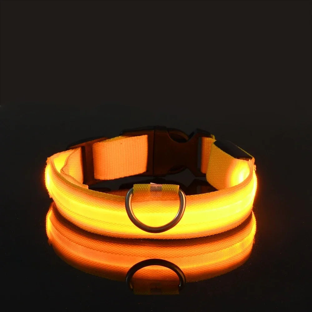 LED Leuchtendes Hundehalsband Nylon Blinkend Nacht Sicherheit Fluoreszierend Verstellbar für Hunde Kaufschwan® Gelb XS 28-38cm