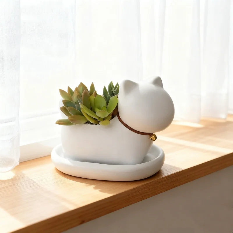 Niedlicher Cartoon Katzen Blumentopf – Kreatives Katzen Gesicht Design | Leichter Anti-Rutsch Pflanztopf für Büro, Lernen & Balkon Kaufschwan®