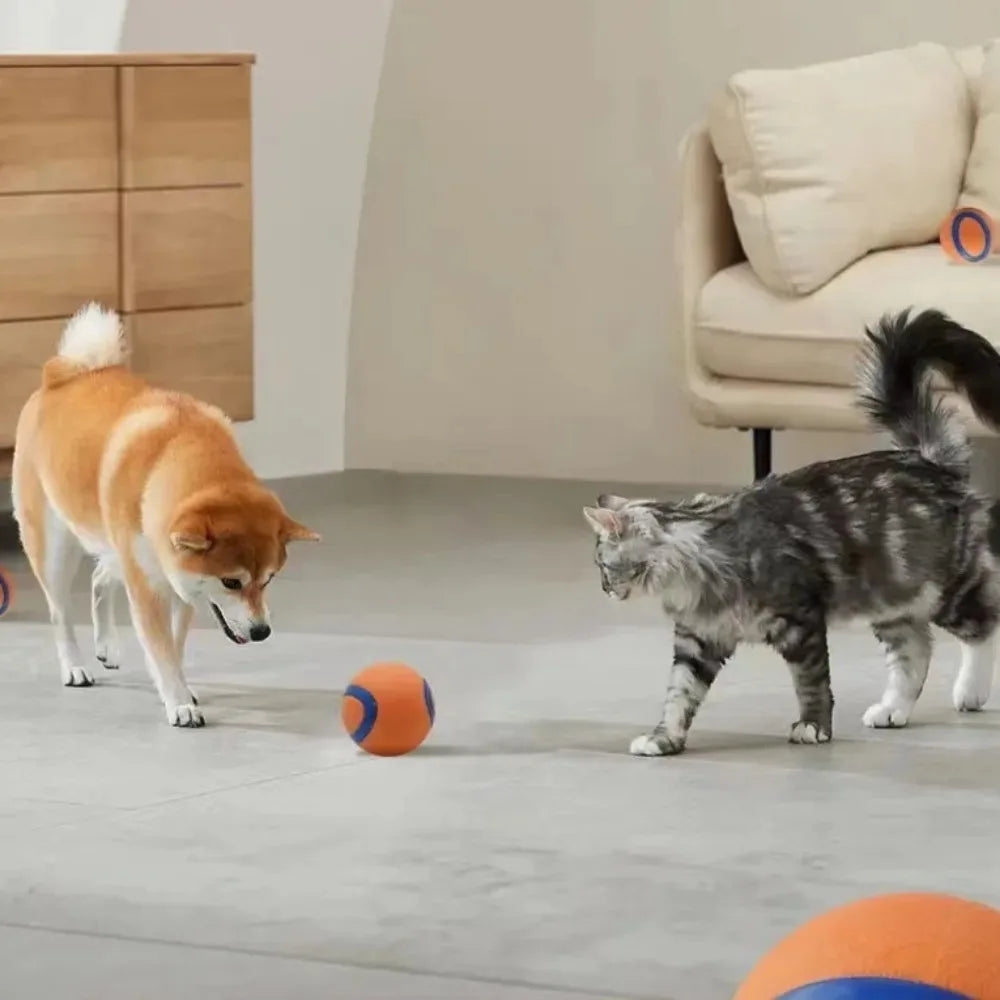 Elastischer Hundespielball – Robuster Springender Kauspielball Kaufschwan®
