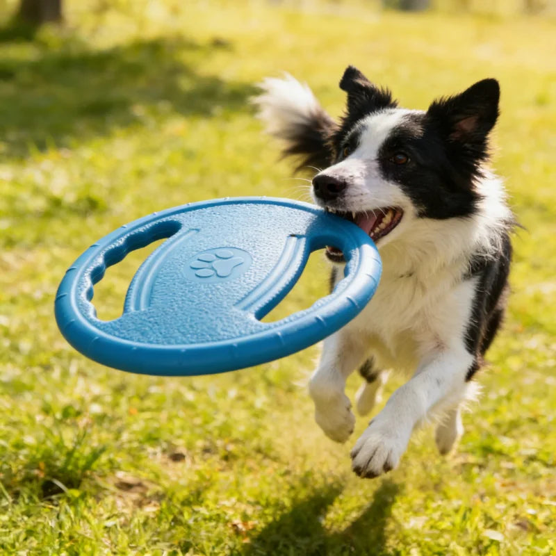 EVA Hunde Frisbee – Robustes Kauspielzeug und Trainingsscheibe für Hunde Kaufschwan®