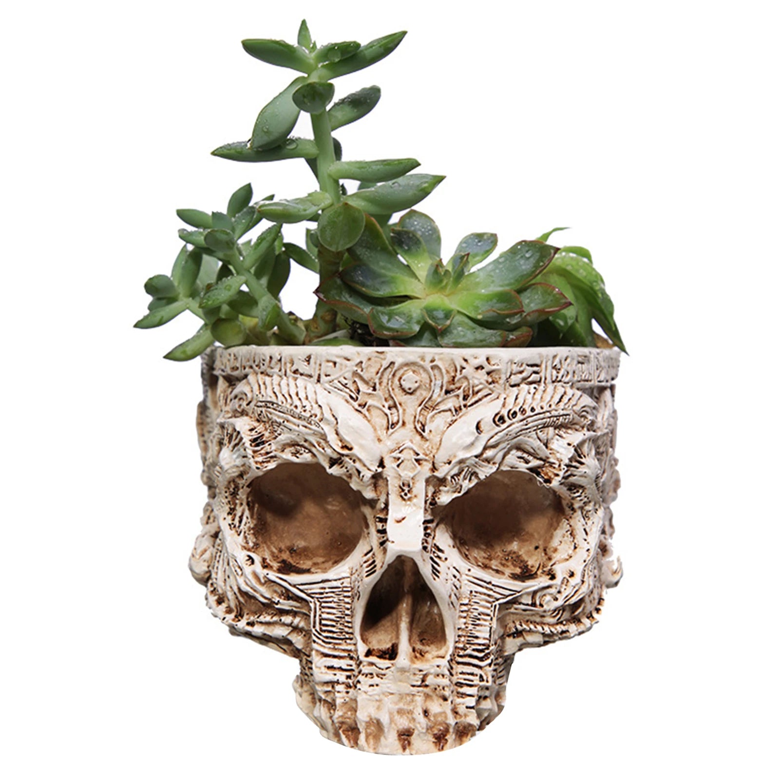 Totenkopf Blumentopf – Multifunktionaler Gothic Skelett Pflanztopf | Halloween Schädel Dekoration für Zuhause Kaufschwan®