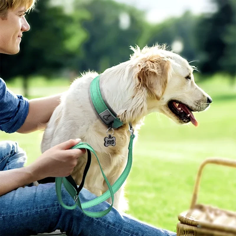 Reflektierendes Gepolstertes Hundehalsband Verstellbar Breit Nylon Neopren für Kleine Mittel Große Hunde Kaufschwan®